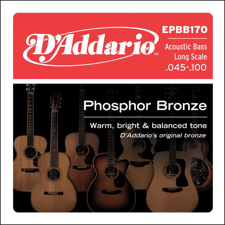 D'Addario EPBB170 Phosphor Bronze Комплект струн для акустической бас-гитары, ф/бр, Long Sc, 45-100